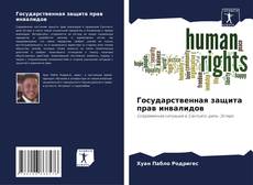 Bookcover of Государственная защита прав инвалидов