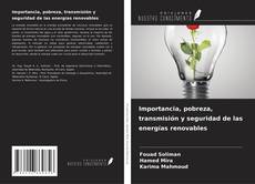 Buchcover von Importancia, pobreza, transmisión y seguridad de las energías renovables