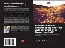 Bookcover of La coexistence des Aymaras et des Mapuches ou la confirmation du bien-être collectif