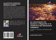 Bookcover of La convivenza tra Aymara e Mapuche o la conferma del benessere collettivo