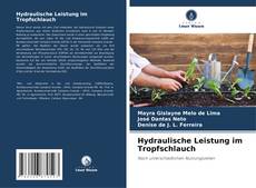Capa do livro de Hydraulische Leistung im Tropfschlauch 
