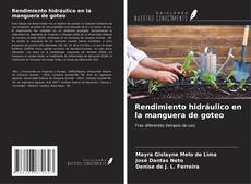 Buchcover von Rendimiento hidráulico en la manguera de goteo