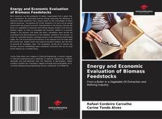 Energy and Economic Evaluation of Biomass Feedstocks kitap kapağı