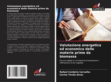 Bookcover of Valutazione energetica ed economica delle materie prime da biomassa