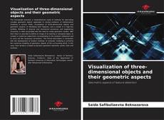 Visualization of three-dimensional objects and their geometric aspects kitap kapağı