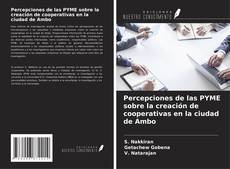 Copertina di Percepciones de las PYME sobre la creación de cooperativas en la ciudad de Ambo