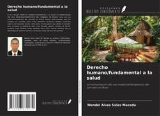 Bookcover of Derecho humano/fundamental a la salud