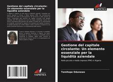 Gestione del capitale circolante: Un elemento essenziale per la liquidità aziendale kitap kapağı