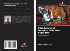 Copertina di Introduzione al recupero delle aree degradate