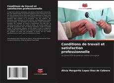 Bookcover of Conditions de travail et satisfaction professionnelle