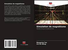 Simulation de magnétisme kitap kapağı