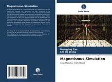 Magnetismus-Simulation kitap kapağı