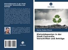 Capa do livro de Kleinstdeponien in der Stadt Concordia. Vorschriften und Anträge 
