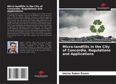 Buchcover von Micro-landfills in the City of Concordia. Regulations and Applications
