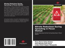 Portada del libro de Nitrate Reductase During Sprouting in Pecan Walnut