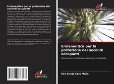 Buchcover von Ermeneutica per la protezione dei secondi occupanti