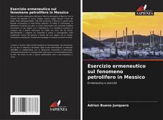 Buchcover von Esercizio ermeneutico sul fenomeno petrolifero in Messico