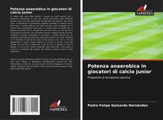 Bookcover of Potenza anaerobica in giocatori di calcio junior