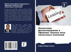 Bookcover of Лизинговое финансирование в Эфиопии: Оценка пяти лизинговых компаний