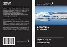 Bookcover of DEPRESIÓN VOLUMEN 2