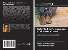 Buchcover von Esclavitud contemporánea en el sector urbano