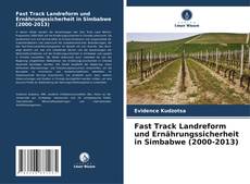 Capa do livro de Fast Track Landreform und Ernährungssicherheit in Simbabwe (2000-2013) 