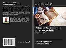 Patrones dendríticos en electrodeposición kitap kapağı