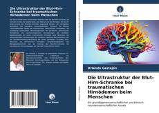 Copertina di Die Ultrastruktur der Blut-Hirn-Schranke bei traumatischen Hirnödemen beim Menschen