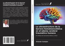 Bookcover of La ultraestructura de la barrera hematoencefálica en el edema cerebral traumático humano