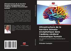 Borítókép a  Ultrastructure de la barrière hémato-encéphalique dans l'œdème cérébral traumatique humain - hoz