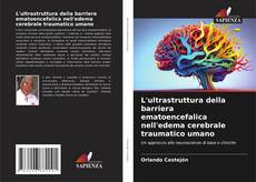 Portada del libro de L'ultrastruttura della barriera ematoencefalica nell'edema cerebrale traumatico umano