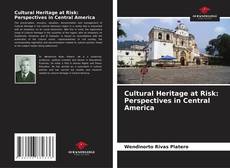 Cultural Heritage at Risk: Perspectives in Central America的封面