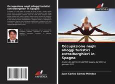 Bookcover of Occupazione negli alloggi turistici extralberghieri in Spagna