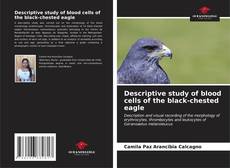 Buchcover von Descriptive study of blood cells of the black-chested eagle