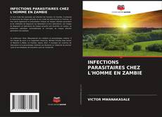 Portada del libro de INFECTIONS PARASITAIRES CHEZ L'HOMME EN ZAMBIE