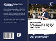 Bookcover of Управление экологическими рисками на скотобойне в Пау-дус-Феррос/РН
