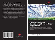 Bookcover of The Antinaco-Los Colorados Valley: further degradation