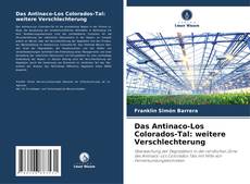 Buchcover von Das Antinaco-Los Colorados-Tal: weitere Verschlechterung