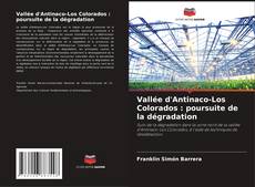 Bookcover of Vallée d'Antinaco-Los Colorados : poursuite de la dégradation