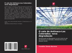 O vale de Antinaco-Los Colorados: nova degradação kitap kapağı