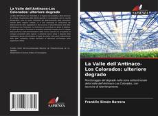 Bookcover of La Valle dell'Antinaco-Los Colorados: ulteriore degrado