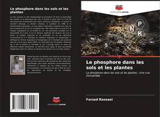 Capa do livro de Le phosphore dans les sols et les plantes 