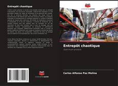 Entrepôt chaotique kitap kapağı