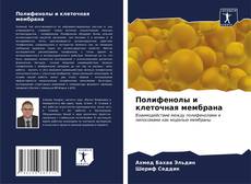 Buchcover von Полифенолы и клеточная мембрана