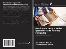 Bookcover of Gestión de riesgos en las gasolineras de Pau dos Ferros/RN