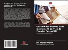 Buchcover von Gestion des risques dans les stations-service de Pau dos Ferros/RN