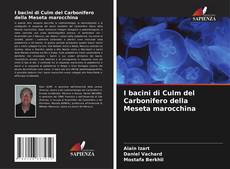 Buchcover von I bacini di Culm del Carbonifero della Meseta marocchina
