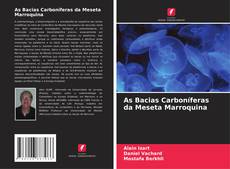 Bookcover of As Bacias Carboníferas da Meseta Marroquina