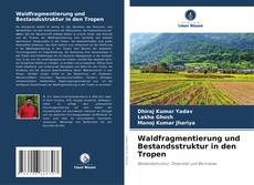 Bookcover of Waldfragmentierung und Bestandsstruktur in den Tropen