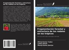 Bookcover of Fragmentación forestal y estructura de los rodales en los trópicos